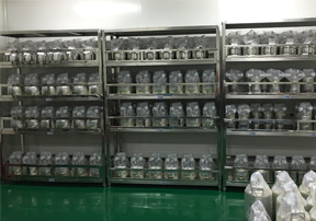 正戊酸的生产工艺及其影响因素